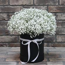 Цветочная композиция из Гипсофила в шляпной коробке #REPLACE_PRED# Верх-Чебуле