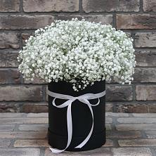 Цветочная композиция из Гипсофила в шляпной коробке в Верх-Чебуле
