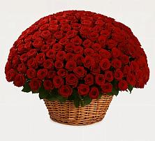 Премиум букет из: Розы в Верх-Чебуле